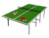 a table tennis table